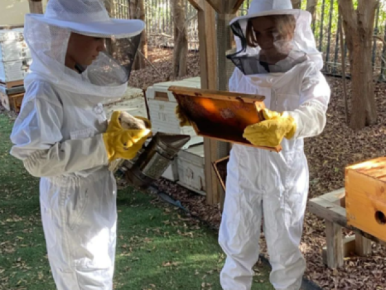 Beekeepers Association