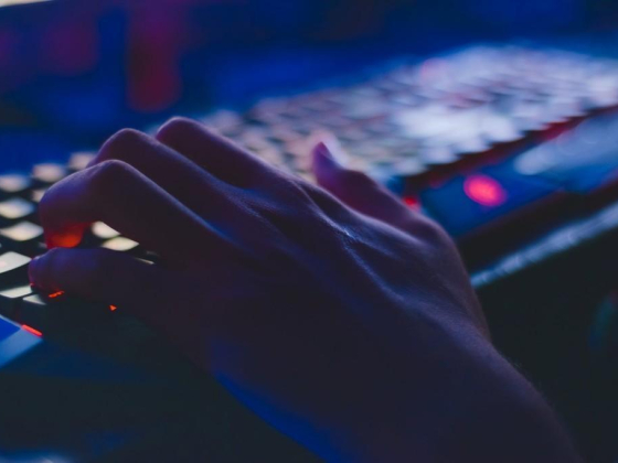 Samarqand Typing Services