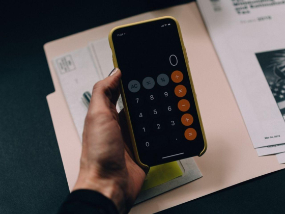 The Alchamii Auditing Of Accounts