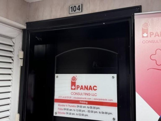 Ipanac Consulting