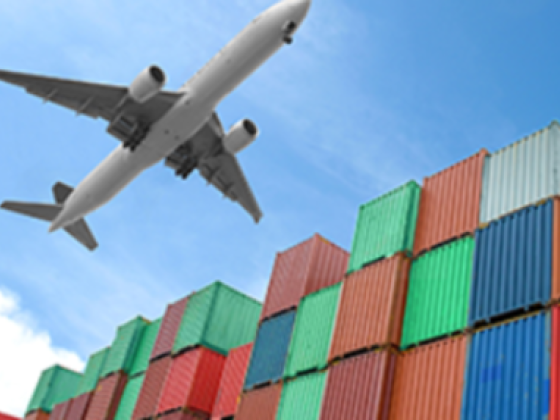 S K I Global Shipping