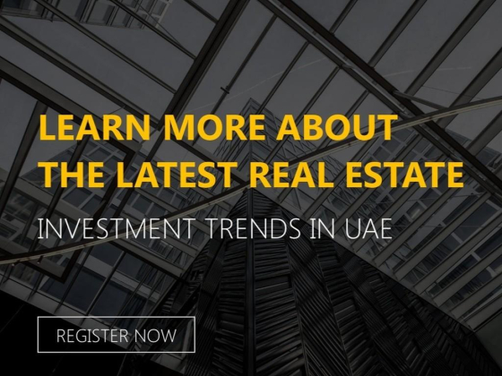 Mac World Real Estate Brokers
