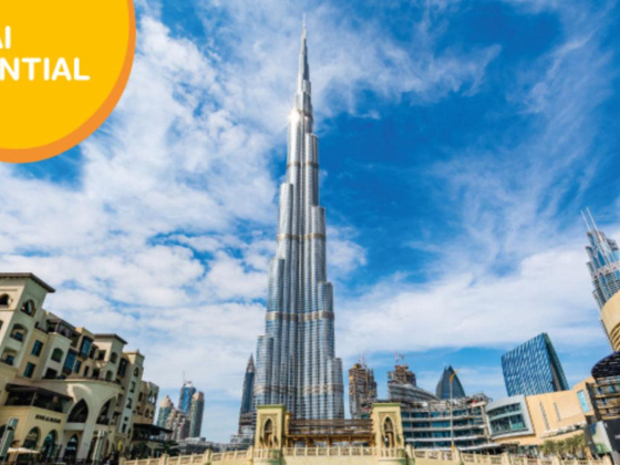 City Sightseeing Dubai