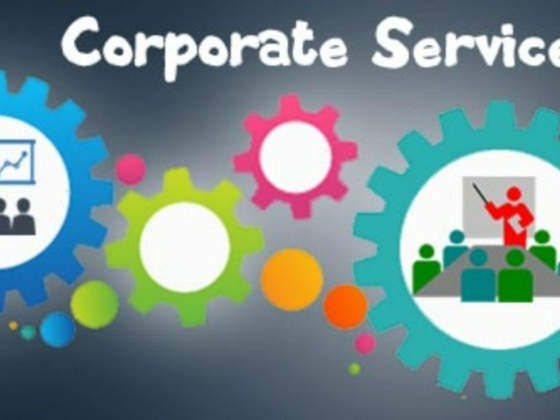 HA Group Business Setup Services