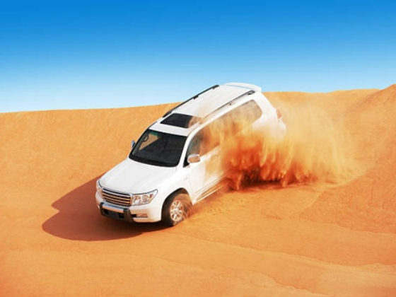 Travefly Tourism