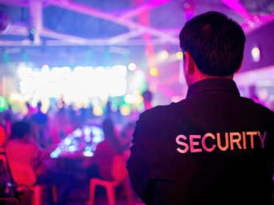 Metro Security Services