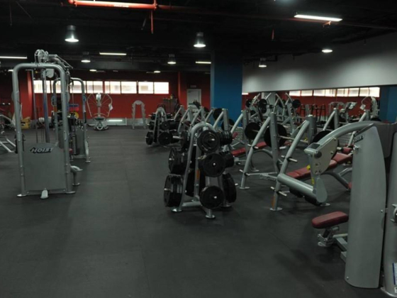 Power Gym