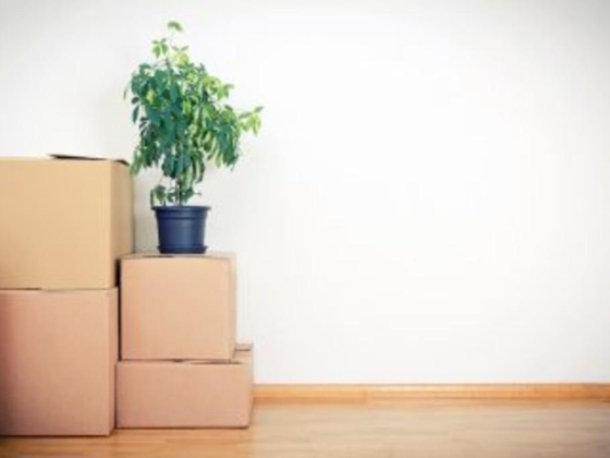 Hello Packer Clearing & Forwarding