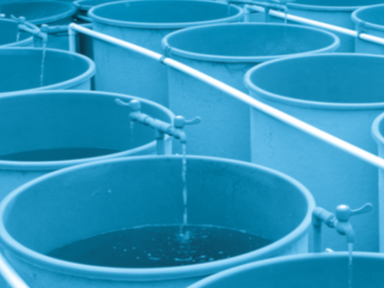 Bio Catalyst Water Treatment