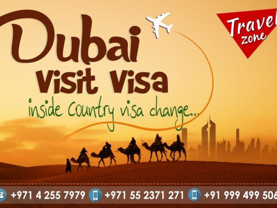 Travel Zone International Tourism