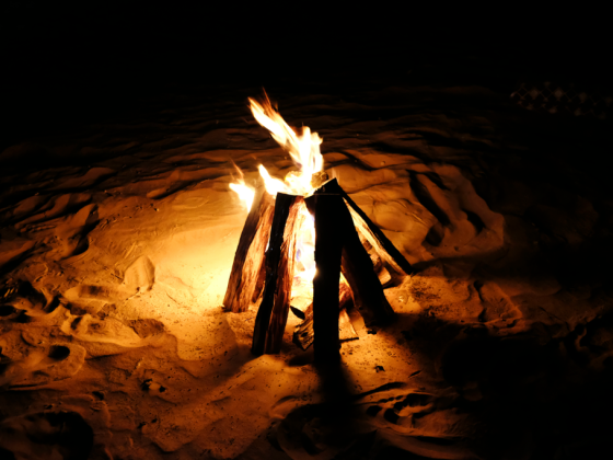 Quest Tourism LLC