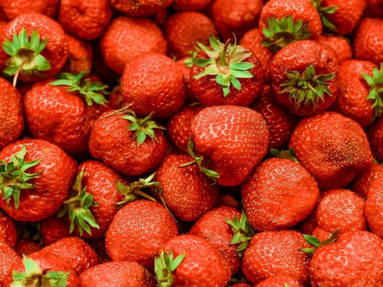 Al Borj Fresh Fruits
