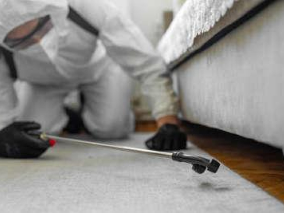 Vanish Pest Control Equipment Trading