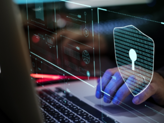 Gulf It Network Distribution