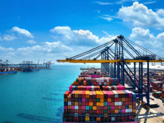 Dragon Maritimo Sea Cargo Services