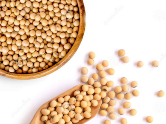 Agro Africa Trading