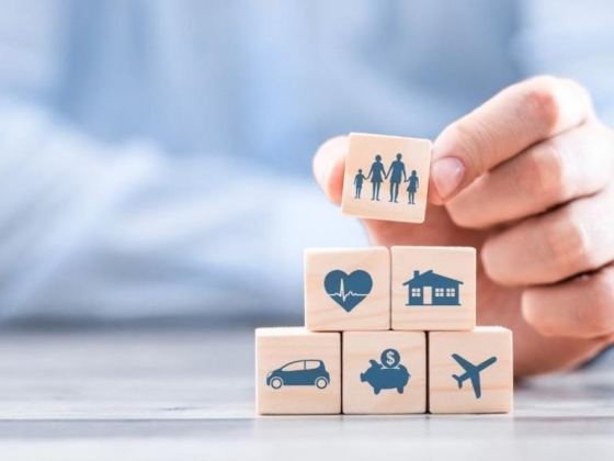Momentum Insurance Agents