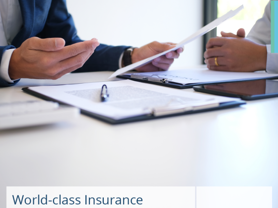 Momentum Insurance Agents