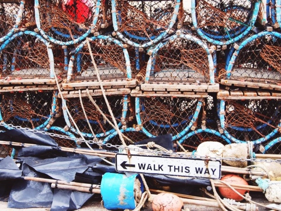 Tight Lines Fishing Tackles Trading L.l.c