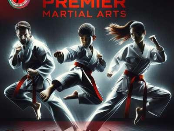 Premier Martial Arts Club
