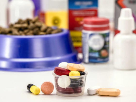 Eurovets Veterinary Suppliers
