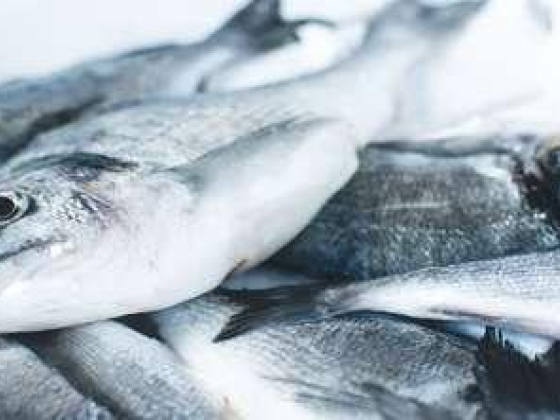 Salem Saeed Ali Fish Stall