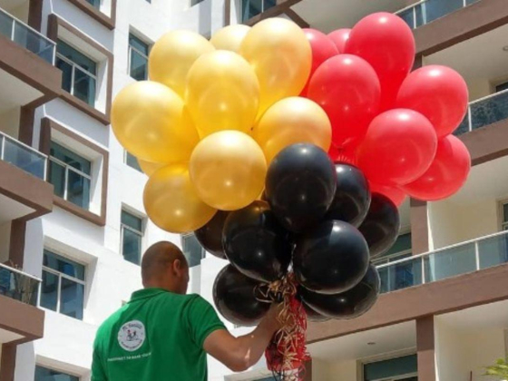 M Fiorista Blooms & Balloons