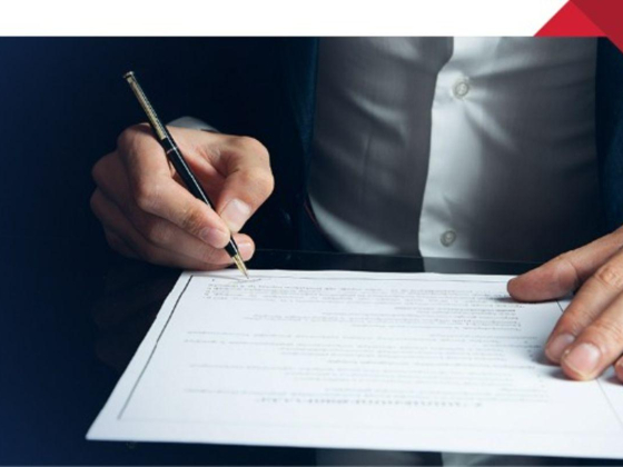 Alliance Prime Accounting and Tax Consultancy