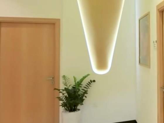 Veda Wellness Ayurvedic