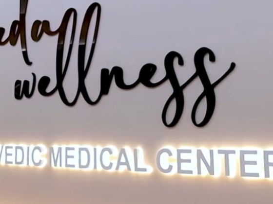 Veda Wellness Ayurvedic