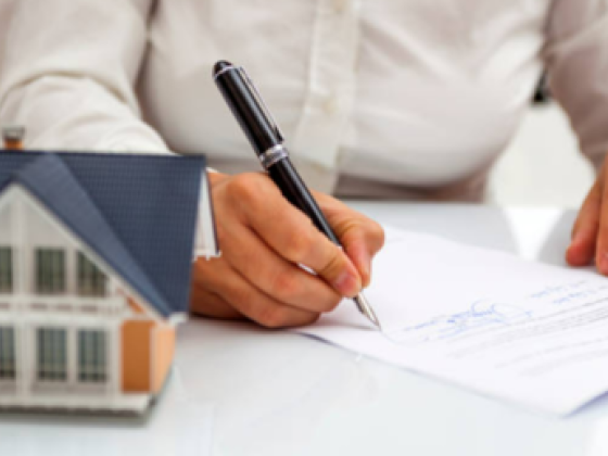 White Lion Capital Real Estate