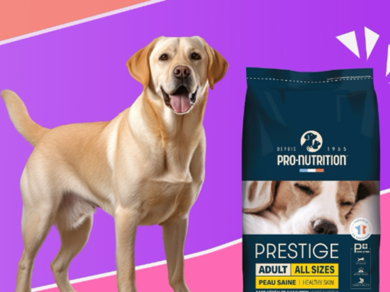Beauty Pets