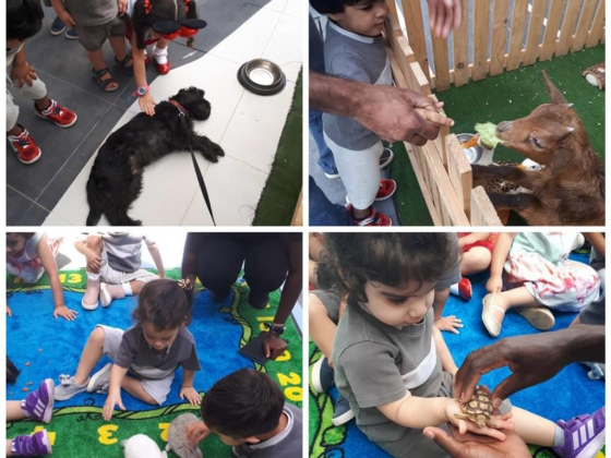 Stepping Stones Preschool