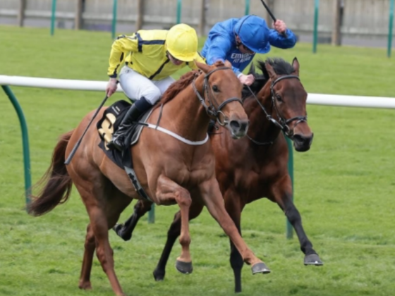 Dubai Horse Racing Information Centre
