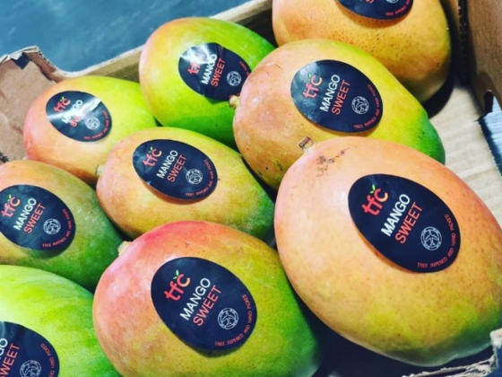 TFC Fruits Trading