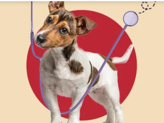 Anubis ​veterinary Clinic