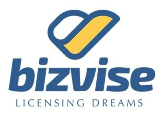 BIZVISE BUSINESS SETUP