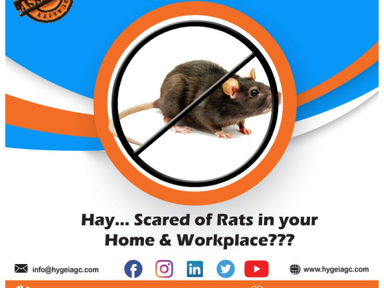 Hygeia Pest Control
