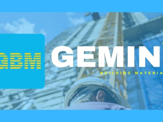 Gemini Building Materials Llc Ppo - Dubai Branch