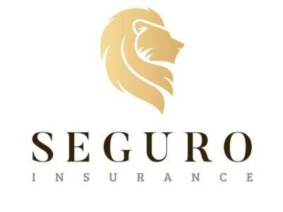 Seguro Commercial Brokers L.l.c