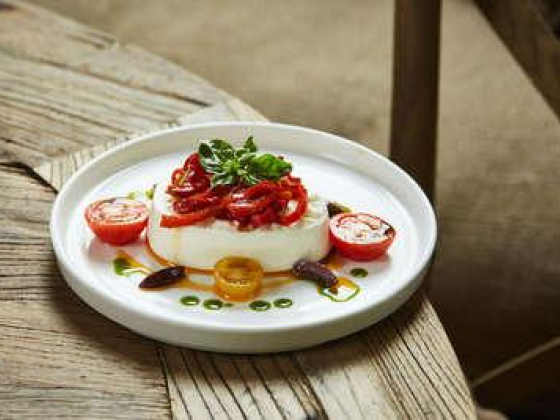 Terra Eatery