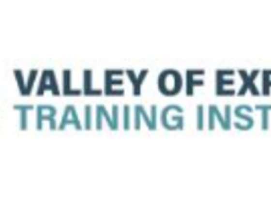 Valley Of Expert