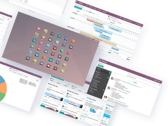 Digital Hype Marketing Management