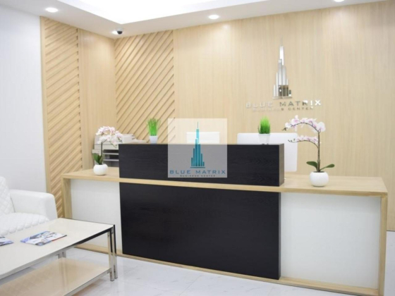 Blue Matrix Business Center