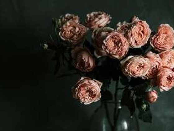 Secrets Box Flowers
