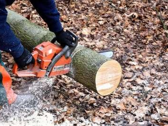 Austro Bavaria Timber Trading