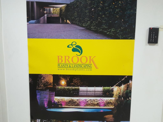 Brook Plants and Landscaping LLC