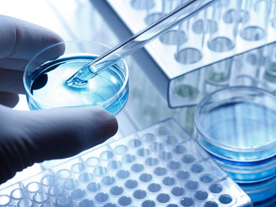 Easy Lab Scientific & Laboratory Equipment Trading