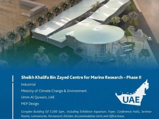Ecology Concepts Mechanical Engineering Consultant