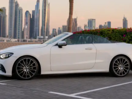 Pegasus Car Rental